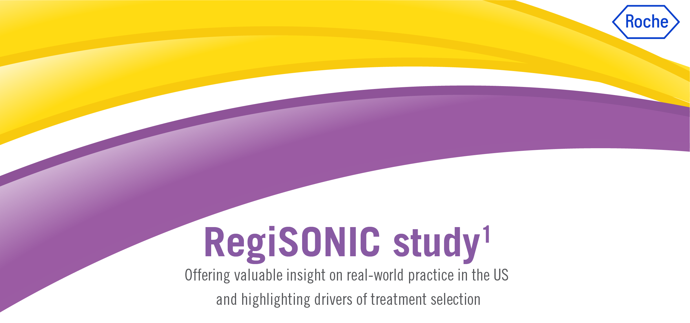 Regisonic Banner